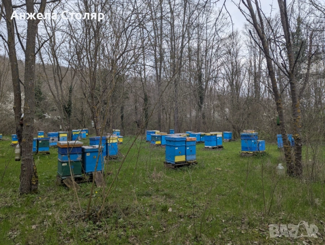 Продава се напълно оборудван пчелин, снимка 7 - За пчели - 54099773