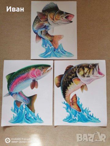 Стикер лепенка Риба Щука Елен Глиган Тигър за автомобил кола джип камион + подарък, снимка 2 - Аксесоари и консумативи - 28853901