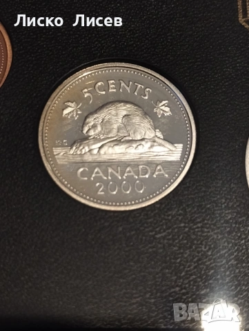 Канада сет мат-гланц 2000г., снимка 13 - Нумизматика и бонистика - 54289831