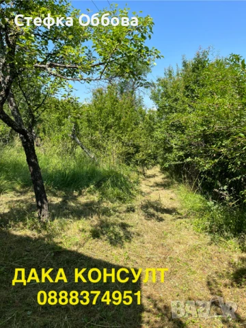 Продавам къща в с. Жедна, снимка 3 - Къщи - 50757061