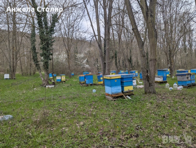 Продава се напълно оборудван пчелин, снимка 5 - За пчели - 54099773