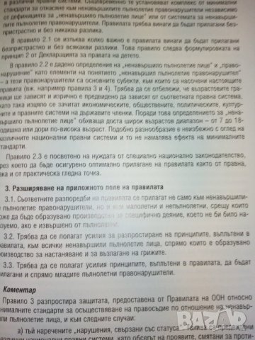 Правосъдие по отношение на малолетни и непълнолетни – Международни стандарти, снимка 2 - Специализирана литература - 30138192