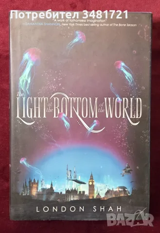 The Light at the Bottom of the World