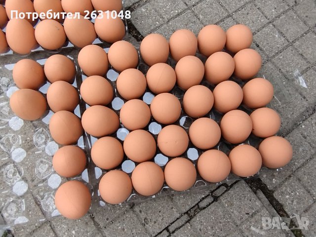 Изкуствени пластмасови яйца за кокошки тежки, снимка 8 - За птици - 40032040