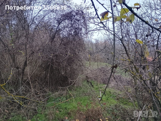 Вила ,със застроена площ 50 кв  м (има и гараж), , снимка 11 - Вили - 52789100