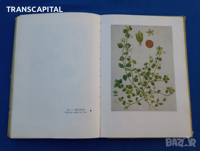 Борба с плевелите , снимка 9 - Специализирана литература - 51794322