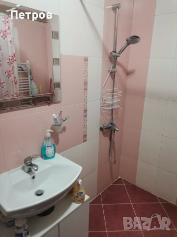 Стая под наем , снимка 4 - Стаи под наем - 51441256