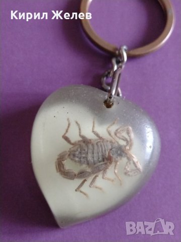 Интересен колекционерски ключодържател АВГАНИСТАН хербарий скорпион уникат за колекция  - 2976, снимка 5 - Други - 30997270