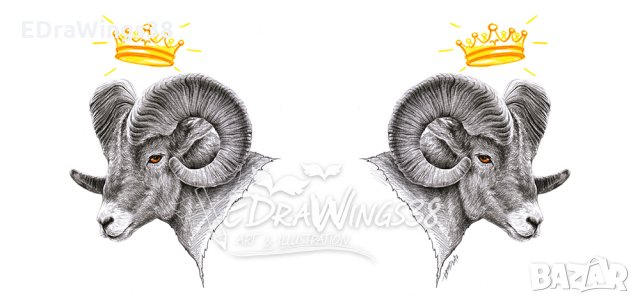 Чаша с принт "Овен" / рисунка, зодия, животни, корона, рожден ден, снимка 5 - Чаши - 29648526