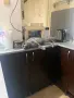 Британска котка, снимка 3