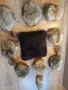 Обработка на кожи, снимка 2