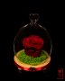 Подарък за рожден ден / Естествена Вечна Роза в Стъкленица / Уникален Подарък за Жена, снимка 5