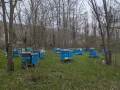 Продава се напълно оборудван пчелин, снимка 7