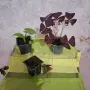 Комплекти Цветя, снимка 1