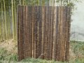 Семена от гигантски бамбук Moso Bambo градински сертифицирани декоративни растения за дома и двора б, снимка 3