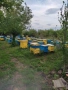 продавам пчелин и ивентар, снимка 4