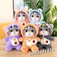 Плюшени облечени котета в различни цветове , снимка 8 - Плюшени играчки - 42547858