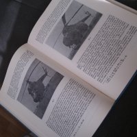 Книга История на военната авиация в България 1988г., снимка 3 - Художествена литература - 35433929