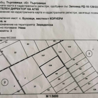 Продавам земеделска земя общ. Търговище с. Буховци , снимка 3 - Земеделска земя - 43392327