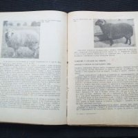 Основи на животновъдството, снимка 3 - Специализирана литература - 40821361