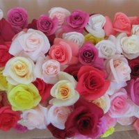 300 рози, снимка 1 - Изкуствени цветя - 31346457
