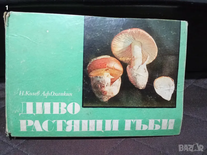 Книга “Диворастящи гъби“, снимка 1