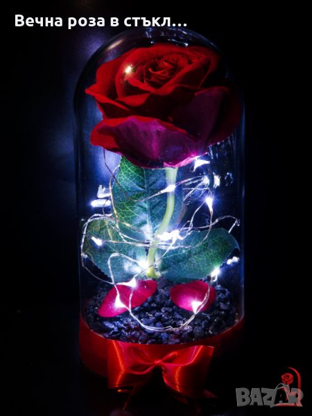 Подарък за Жена за Рожден Ден / Вечна Роза в Стъкленица / Незабравим Подарък за Годишнина, снимка 1