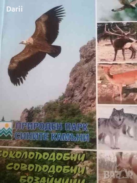 Соколоподобни, совоподобни, бозайници- Емилия Боева, Миглена Георгиева, снимка 1