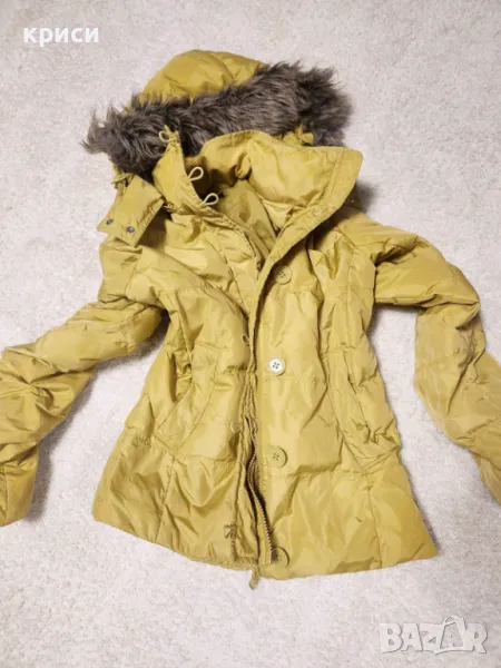 Дамско яке Calvin Klein S размер оригинално, снимка 1