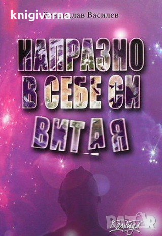 Напразно в себе си витая Венцислав Василев, снимка 1