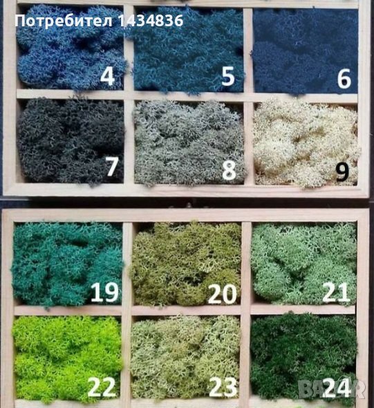 Скандинавски мъх за изработка на картини, декорации и др, снимка 1