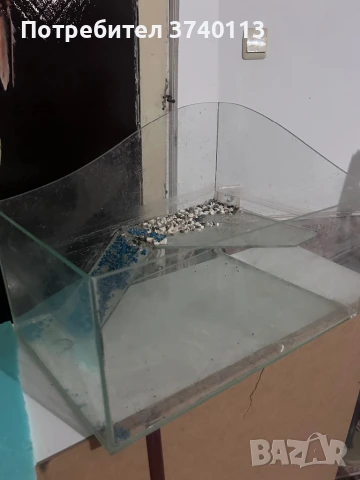 Аквариум за костенурка, снимка 1