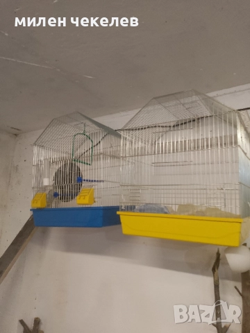 клетки за средни папагалчета