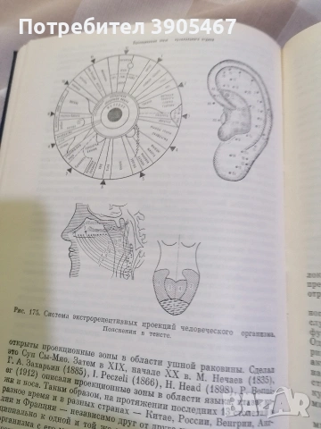 Ирисова диагностика НОВА на руски, снимка 4 - Специализирана литература - 54223125