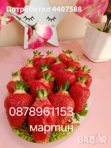 Разсад ягоди и малини 