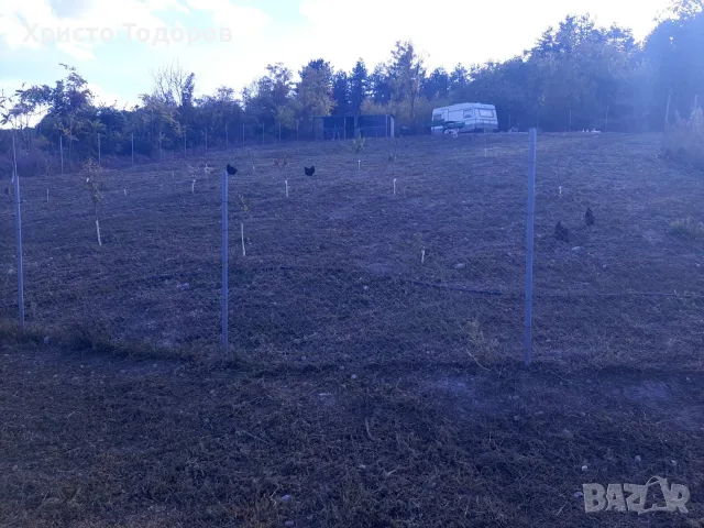 Продавам,Дворно място в гр.Девня