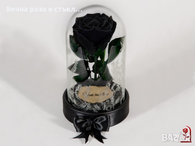 Вечна черна роза • Онлайн Обяви • Цени — Bazar.bg