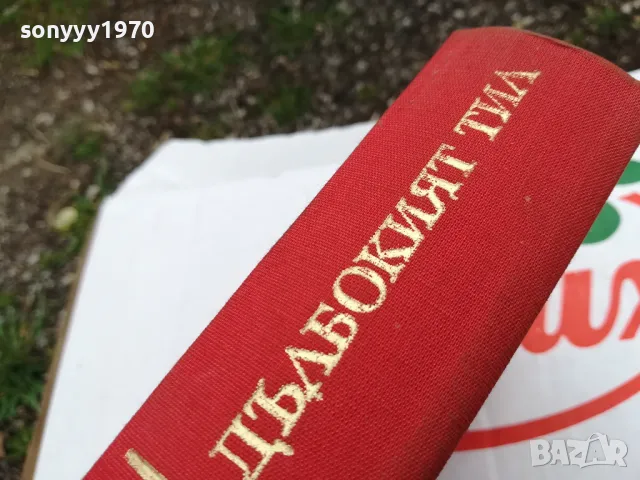 дълбокият тил-роман 1603250739, снимка 7 - Други - 49511696