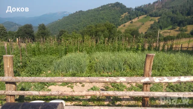 Имение 155 дка с.Бабинци, Тетевен.По договаряне., снимка 4 - Земеделска земя - 48987139