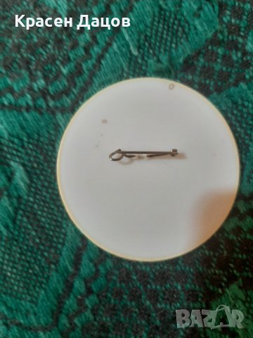 Значка от Асамблеята, снимка 2 - Колекции - 42089845