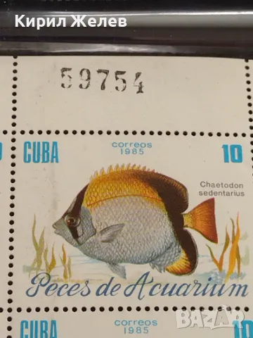 Пощенски марки чисти АКВАРИУМНИ РИБКИ поща КУБА за КОЛЕКЦИЯ ДЕКОРАЦИЯ 46512, снимка 3 - Филателия - 47320846