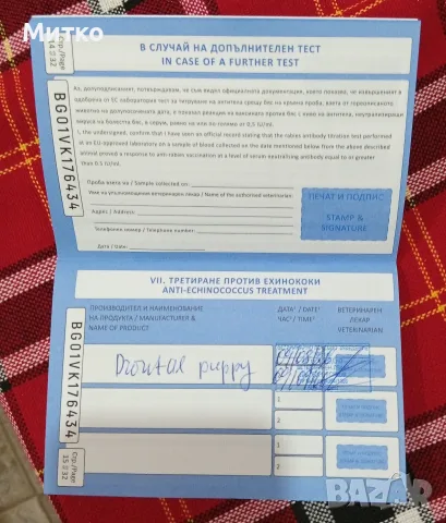 Померан, мини шпиц , снимка 12 - Померан - 55969478