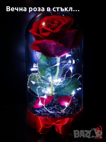 Подарък за Жена за Рожден Ден / Вечна Роза в Стъкленица / Незабравим Подарък за Годишнина, снимка 1 - Декорация за дома - 23376406