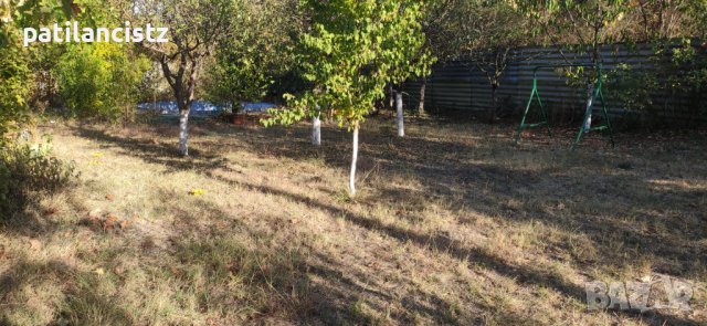 Къща с двор, лозе, басейн, барбекю и бесетка, снимка 12 - Къщи - 42591138