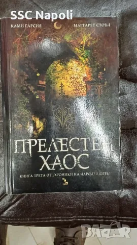 Прелестен хаос и Прелестно изкупление , снимка 2 - Художествена литература - 48664203