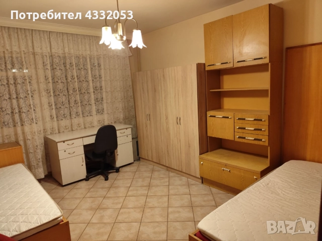 Стая под наем