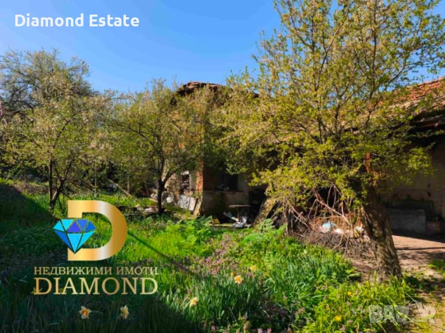 Едноетажна къща в село Динево, обл. Хасково, снимка 14 - Къщи - 54118057