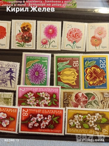 Стари пощенски марки от цял свят смесени ЦВЕТЯ за КОЛЕКЦИЯ ДЕКОРАЦИЯ 52116, снимка 3 - Филателия - 53217789