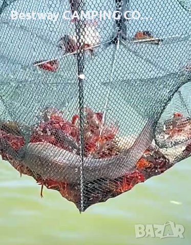 Рачило с цип за улов на рибки за стръв, раци, скариди и други, снимка 2 - Въдици - 42813365