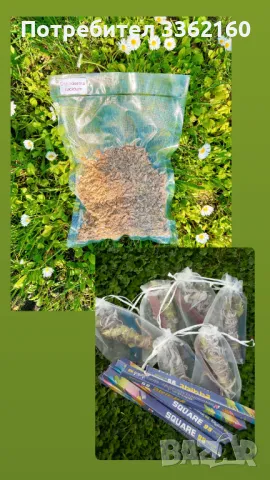 Комплект Рейши (Ganoderma lucidum)